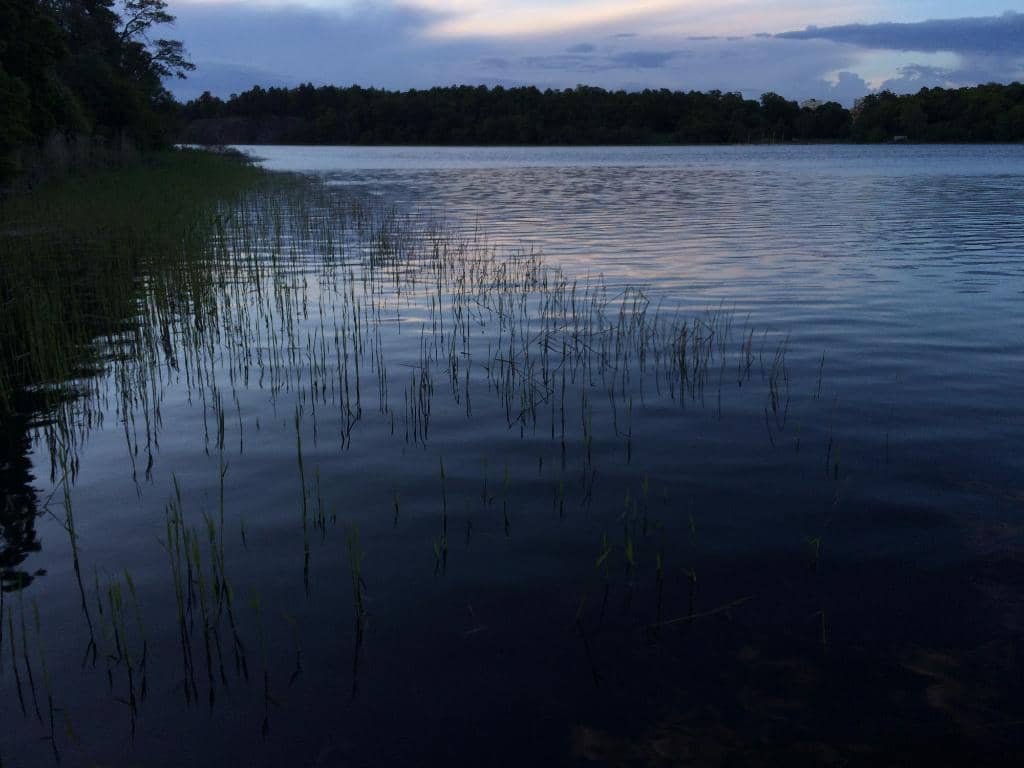 Ekotemplet