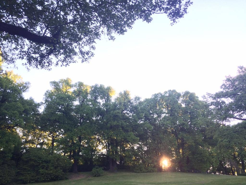 Vertical photo