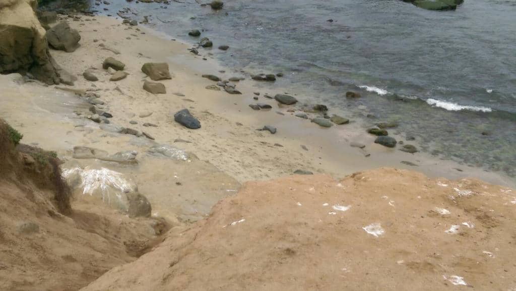 Scenic Coastal Bluffs Walkway