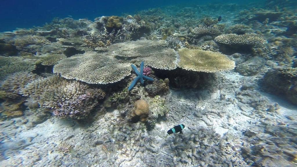 Panoramic Limestone Views