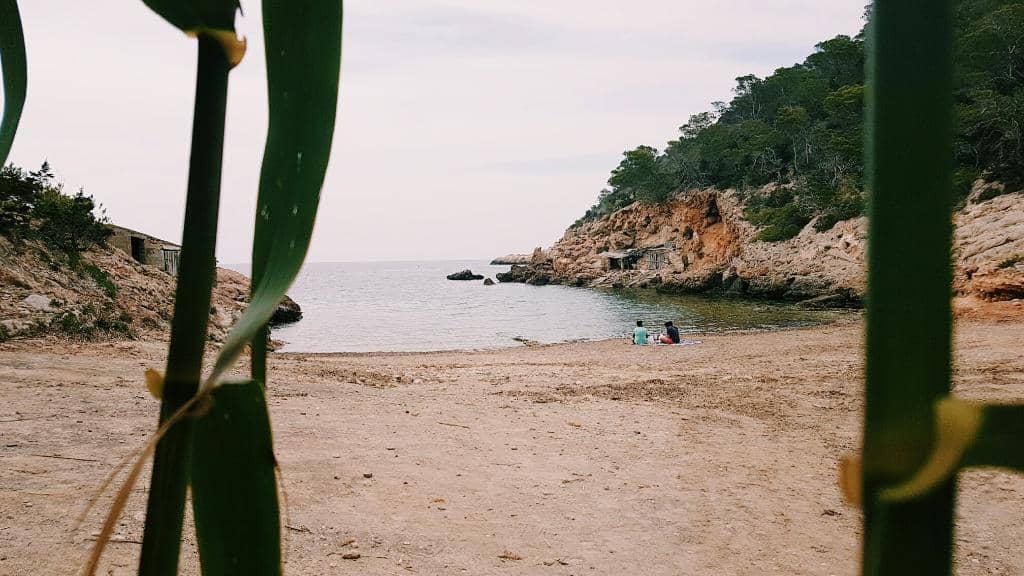 Turquoise Waters