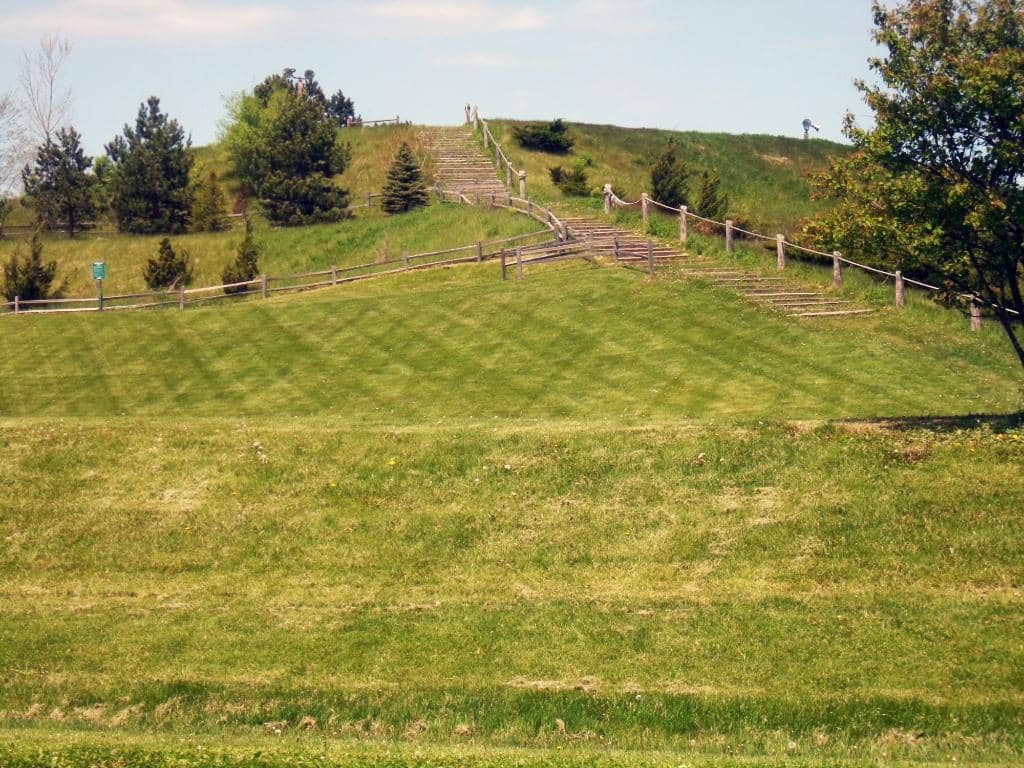 Fenced Play Area