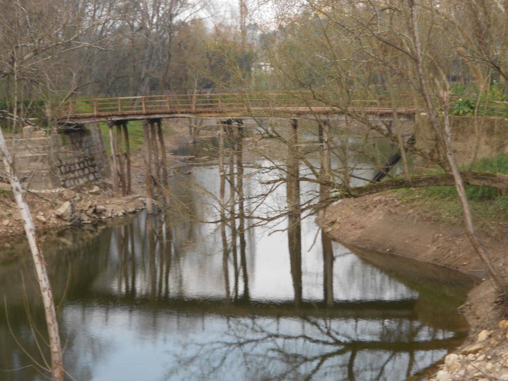 Scenic Walking Trails