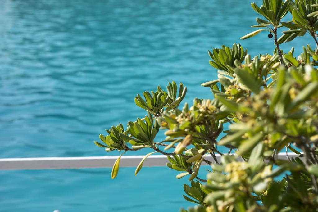 Therapeutic Waters