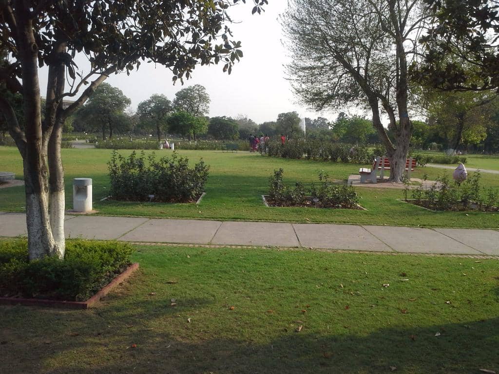 Serene Ponds & Waterfalls