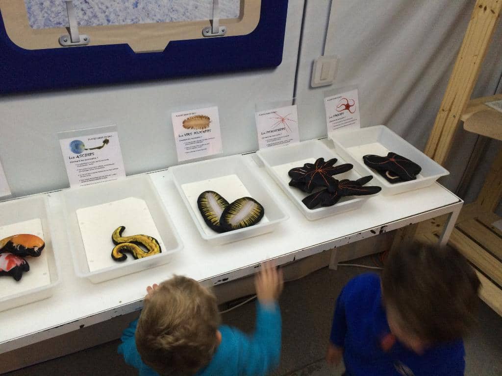 Interactive Science Exhibits
