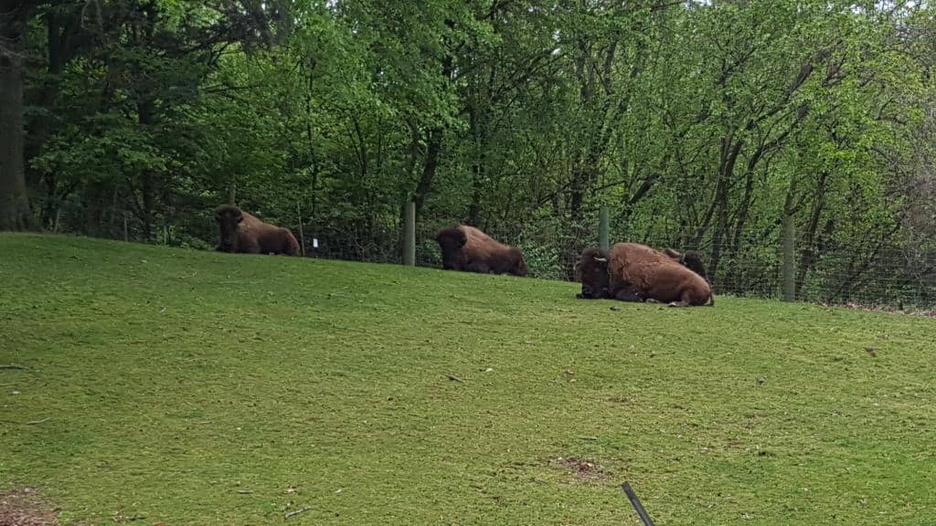Children's Farm