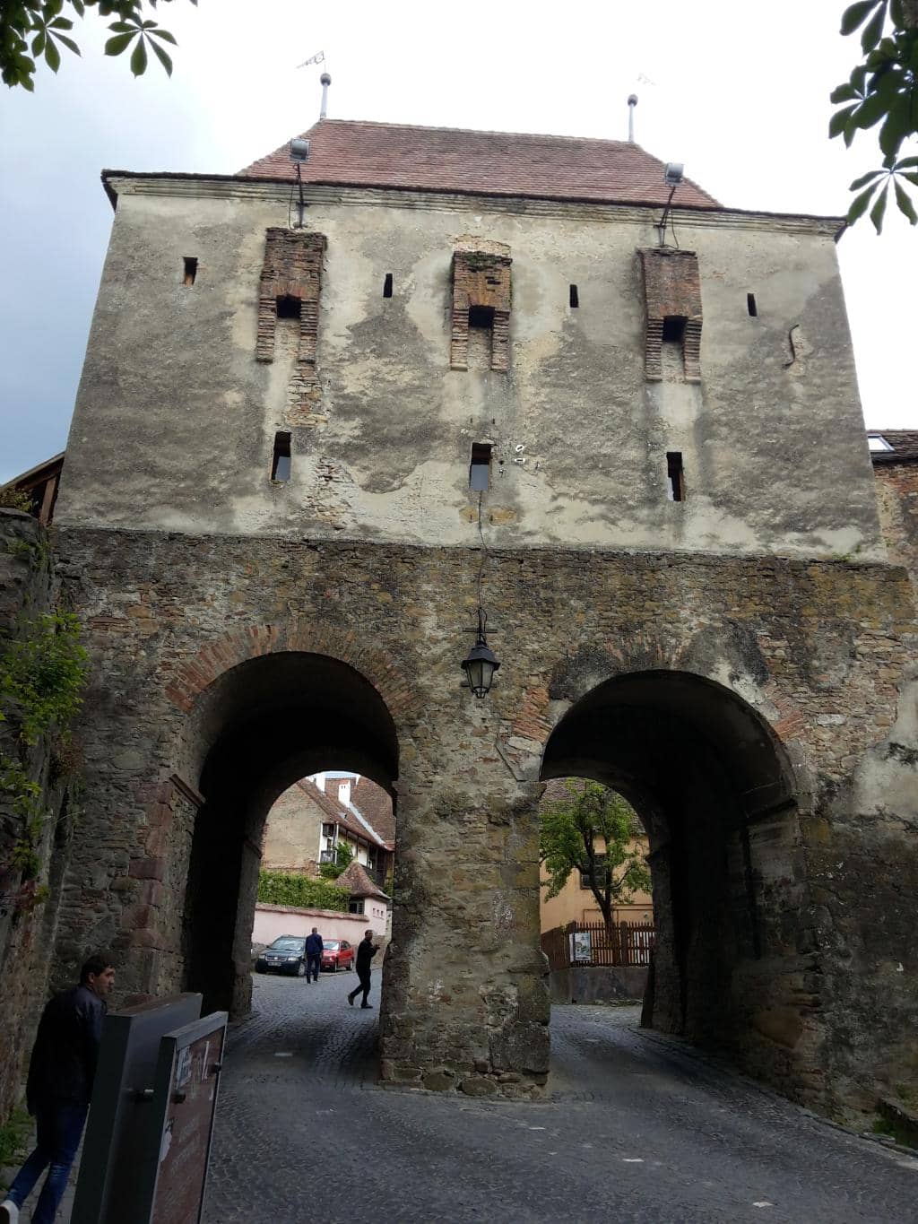 Vertical photo