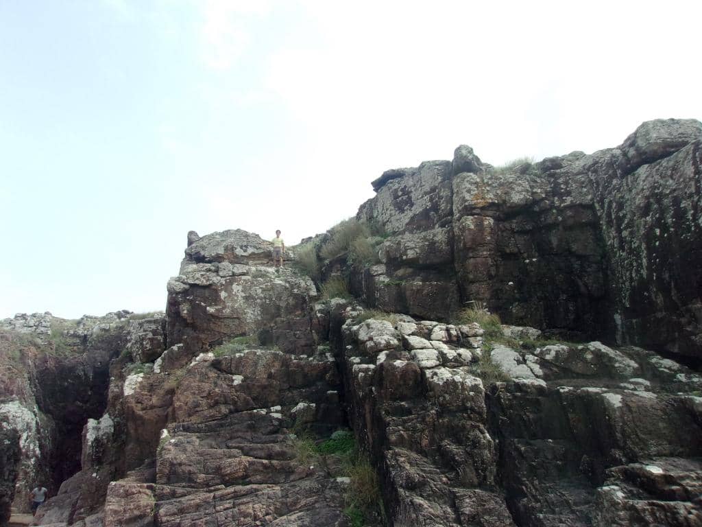 Vertical photo