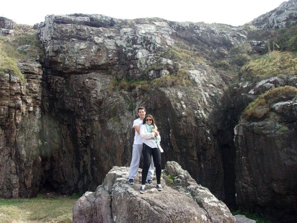 Whale and Sea Lion Sightings