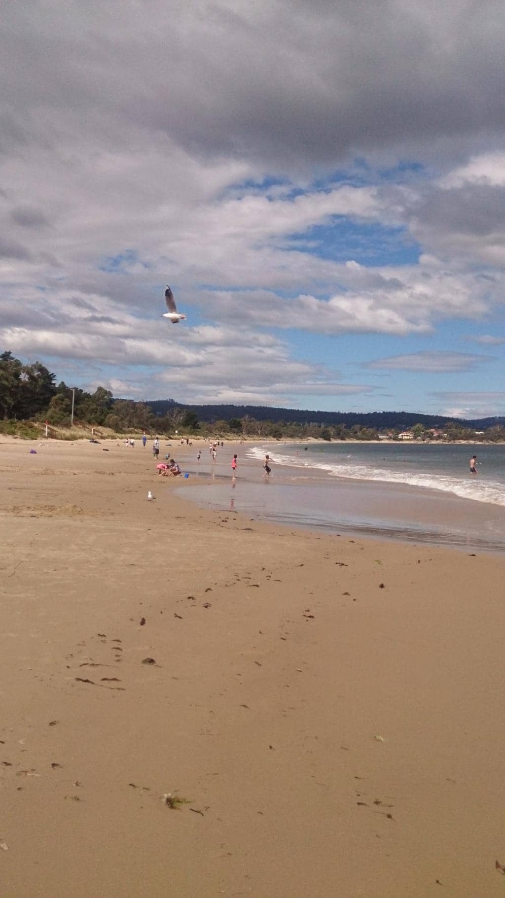 Rock Pools at Lower River Road
