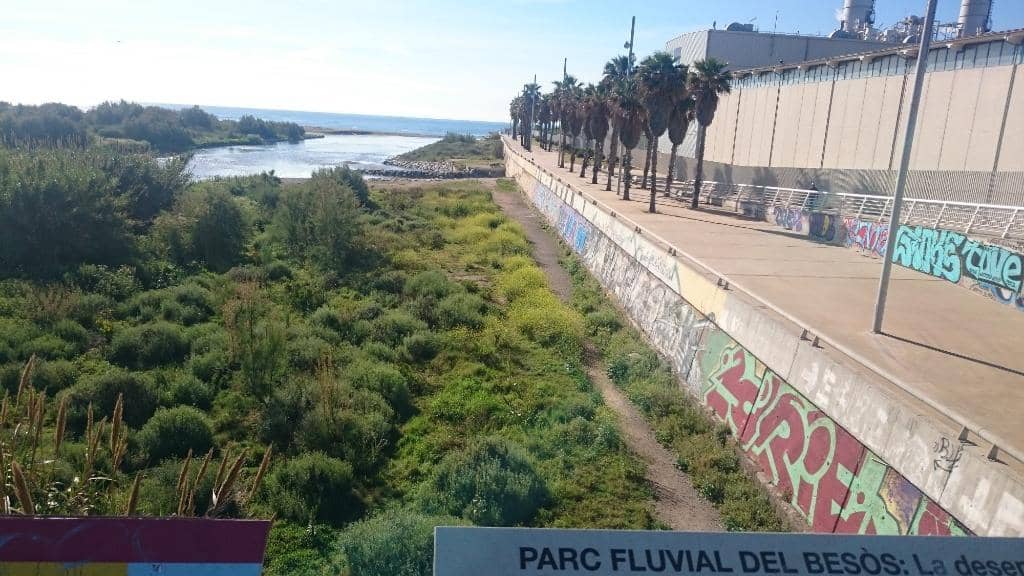 Fabulous Bridge Overlook