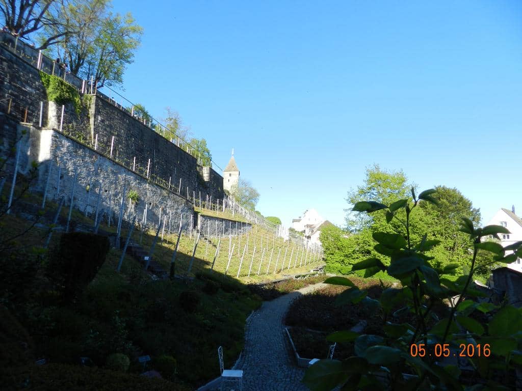 Vertical photo