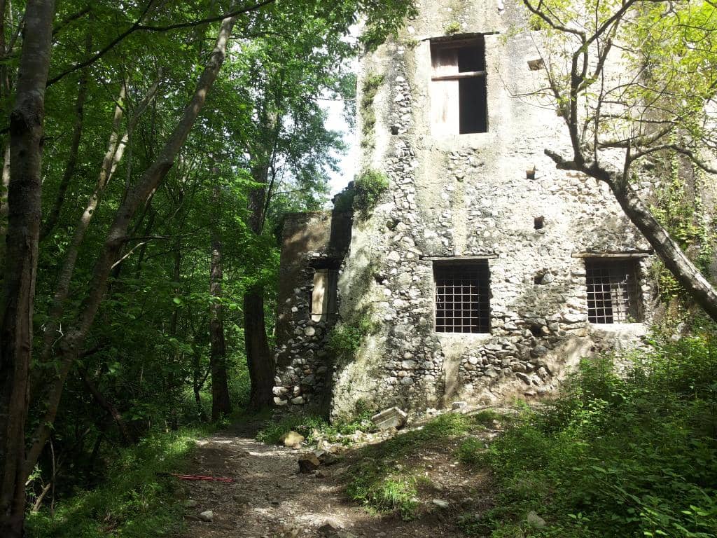 Vertical photo