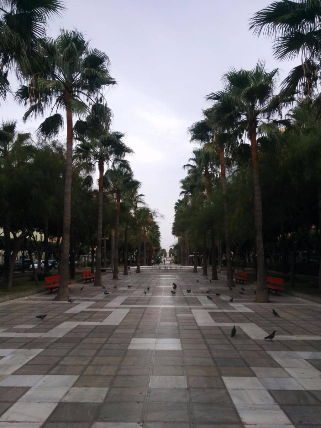 Vertical photo