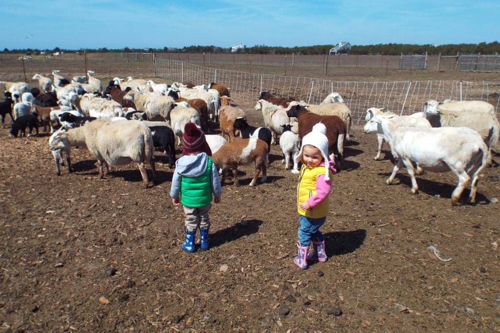 Scenic Katama Location