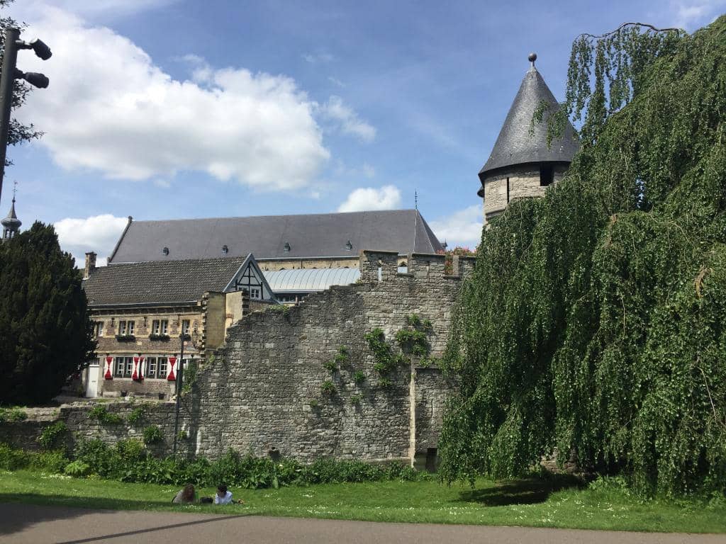 Playgrounds & Animal Encounters