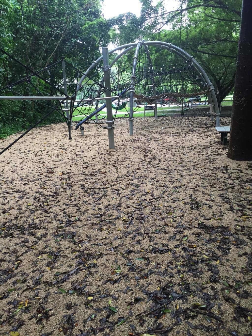 Dog Off-Leash Areas