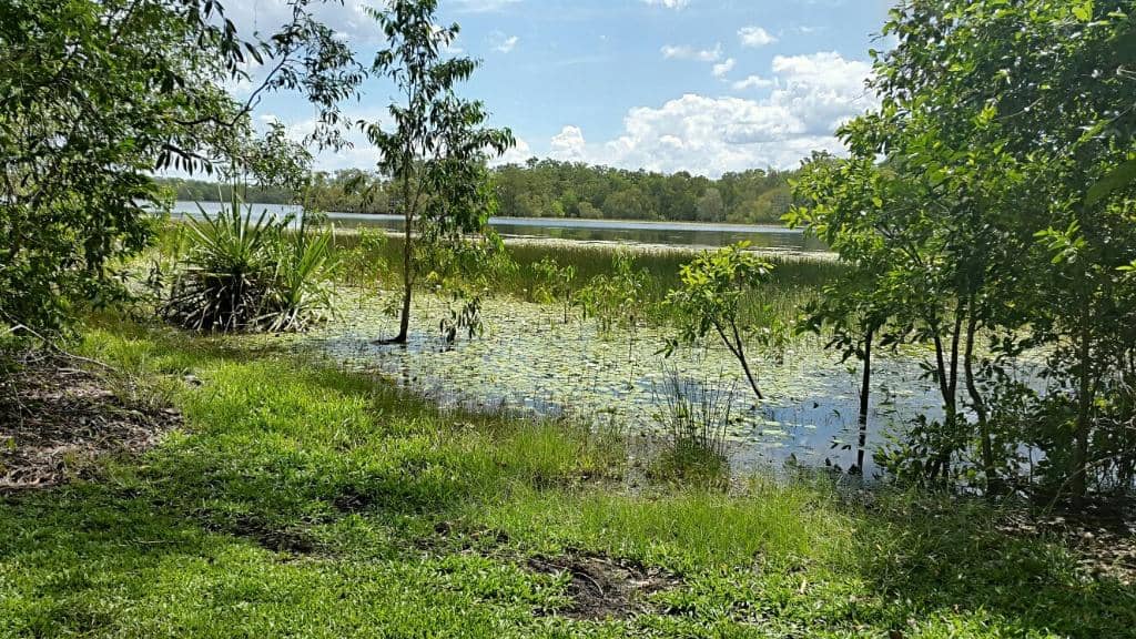 Picnic and BBQ Spots