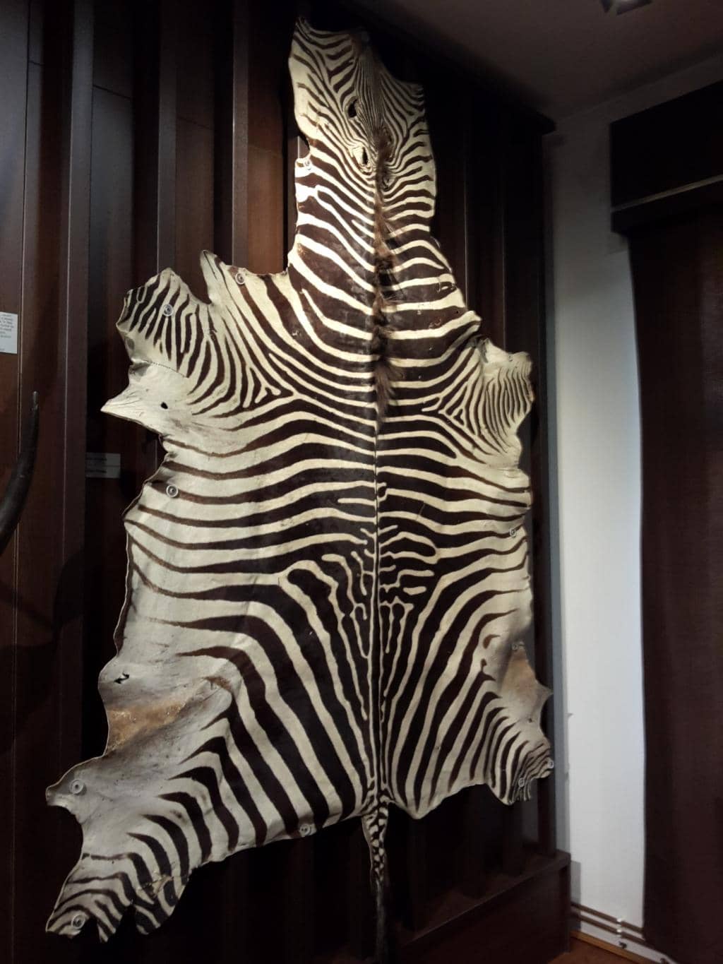 Antique Hunting Weapons