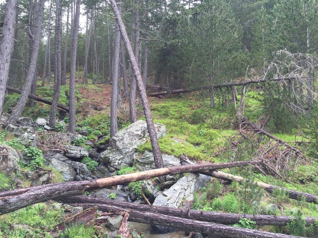 Sunrise/Sunset Spectacle