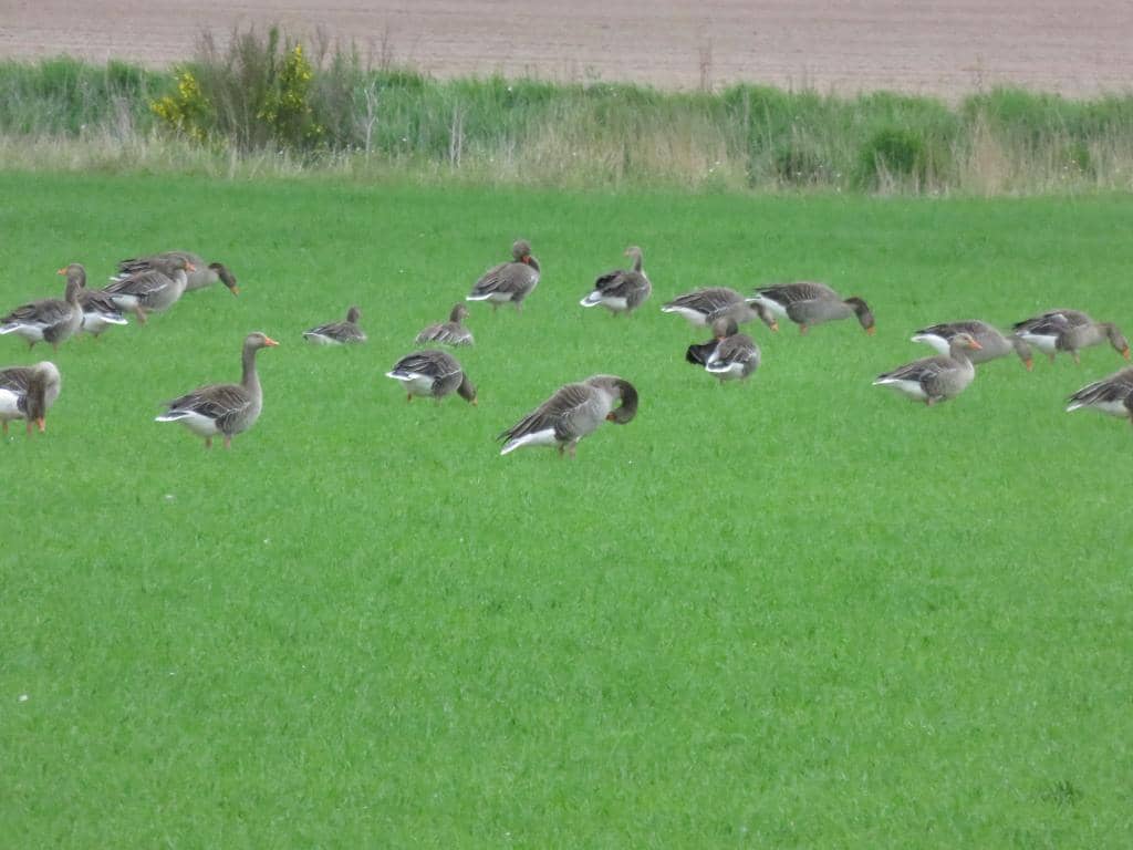 Full Loch Circuit Walk
