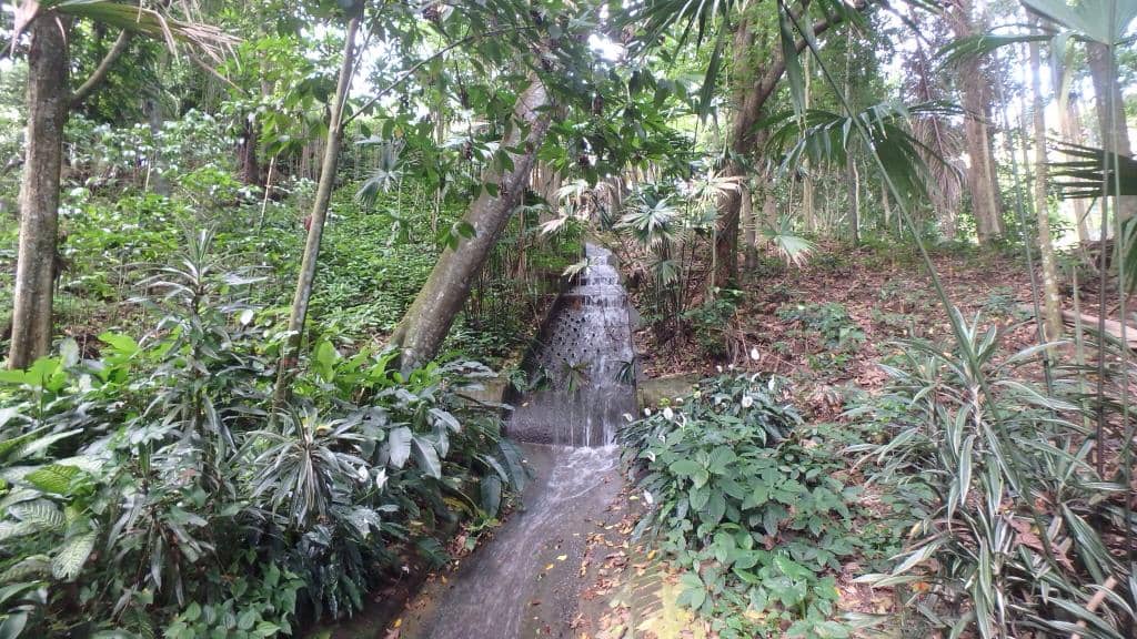 Coffee Tasting Experience