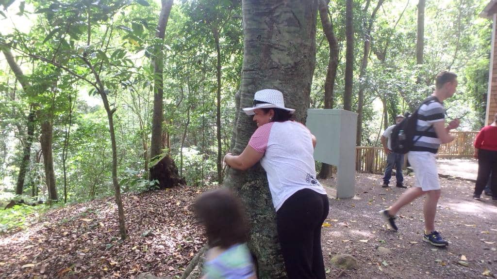 Unique Hydraulic Turbine