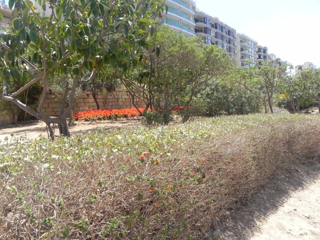 Colorful Cat Sculpture