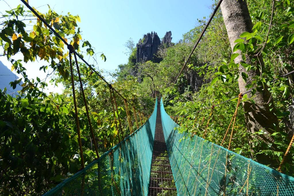 Canopy Walk Viewdeck