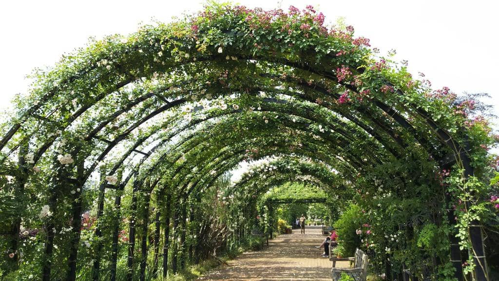Seasonal Flower Beds