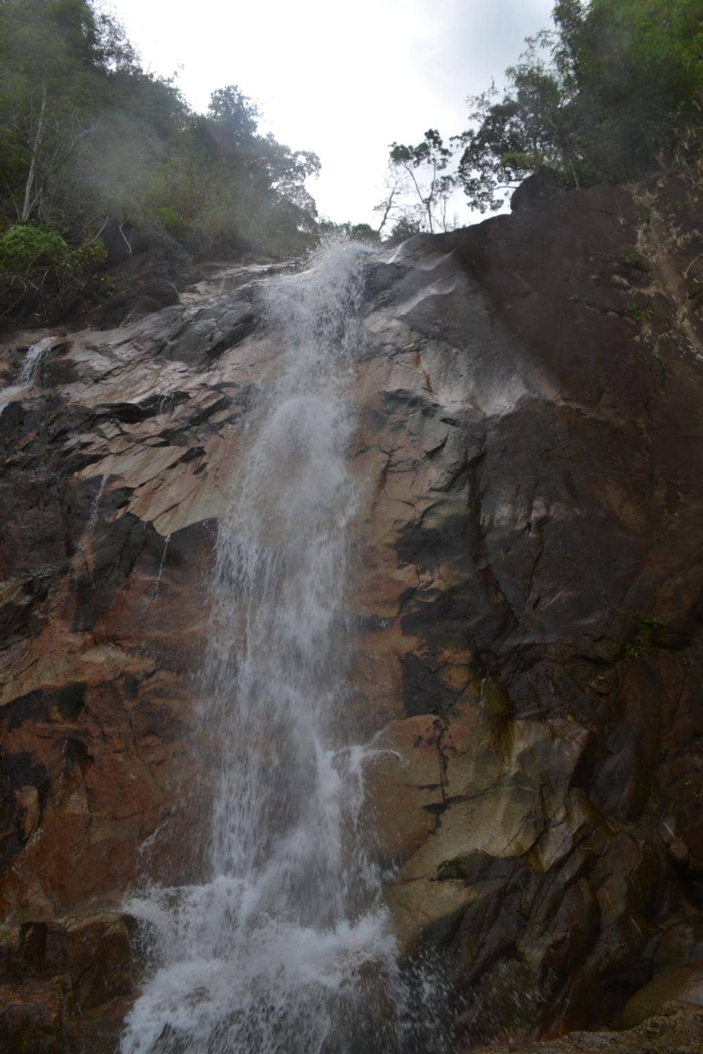 Vertical photo