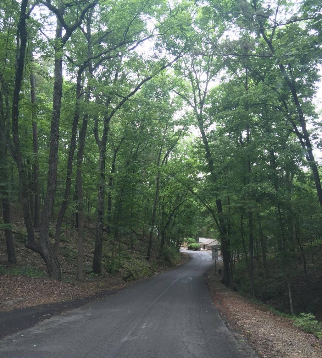 Lake Ouachita Islands