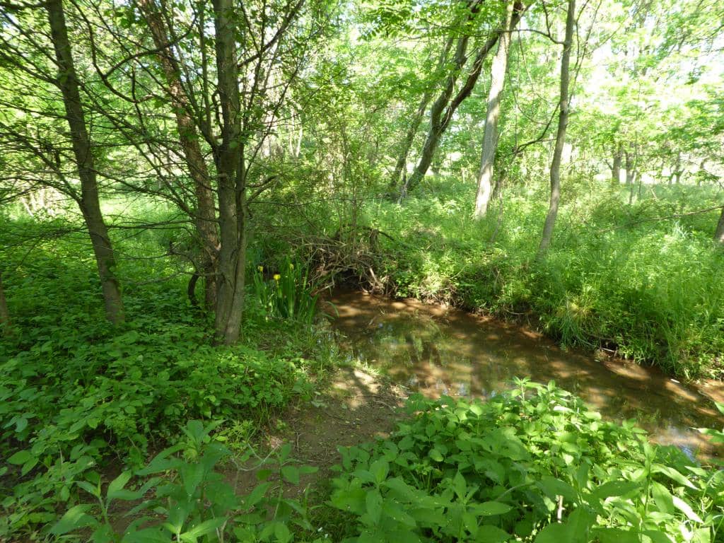 Holiday Fine Arts & Crafts Show