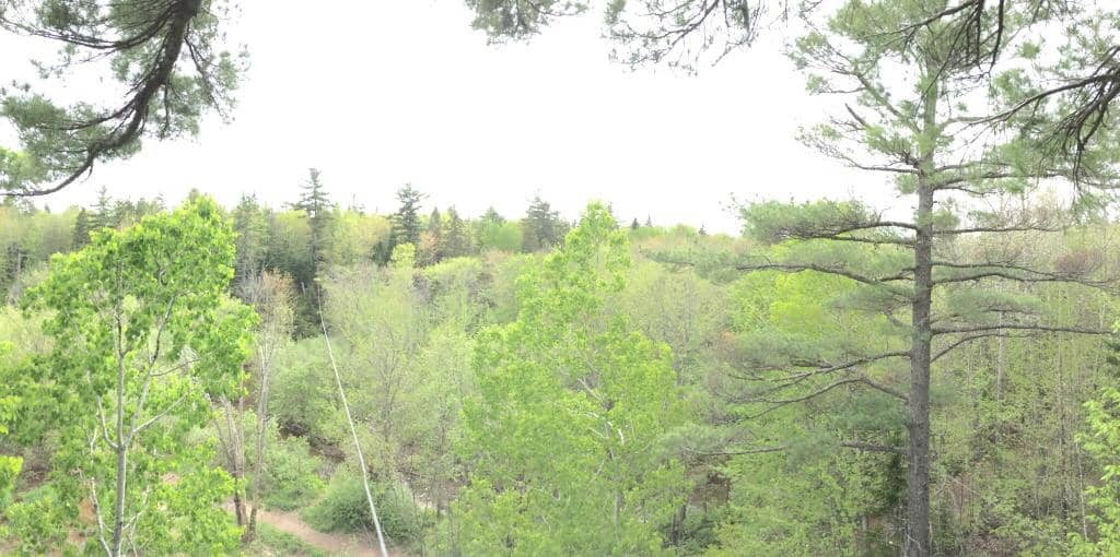 Vertical photo