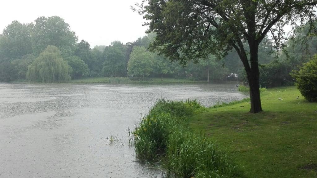 Neues Rathaus Reflection