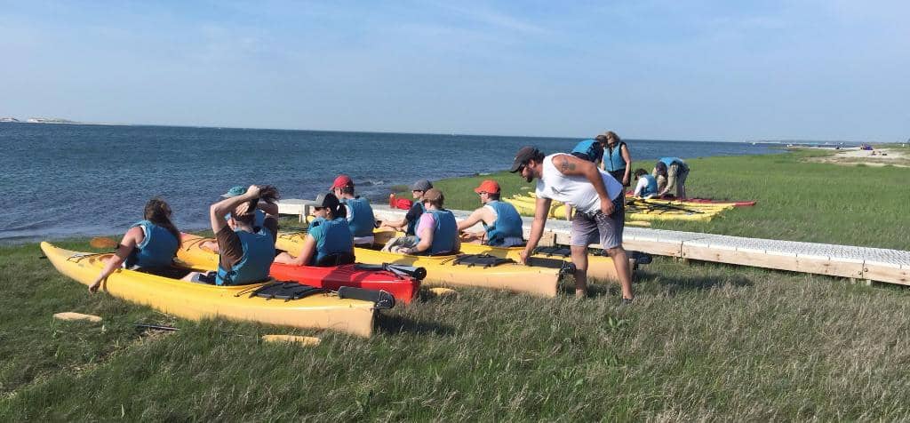 Butterfly Mosaic Garden
