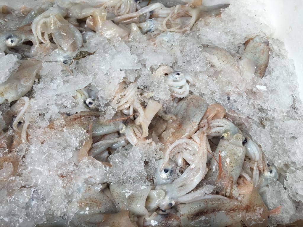 Delectable Seafood & Pasta