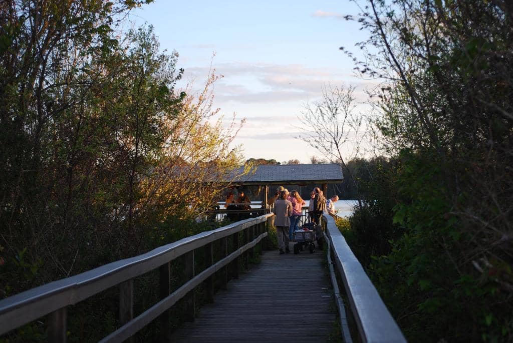 Lake Boardwalk
