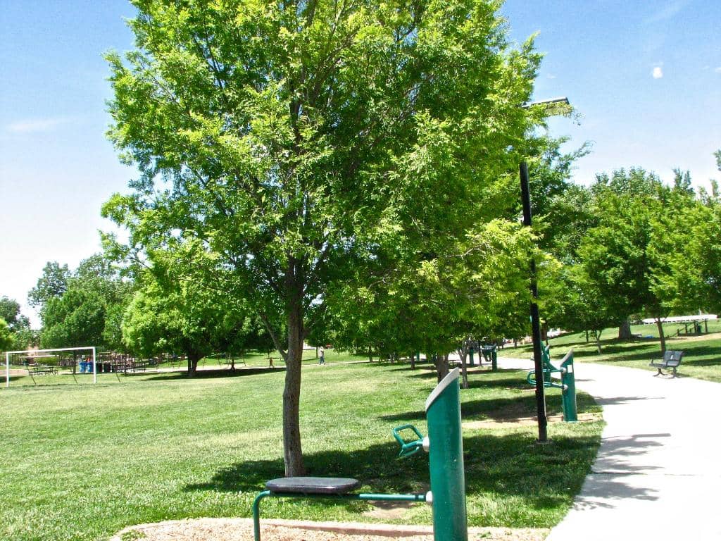 Sports Courts
