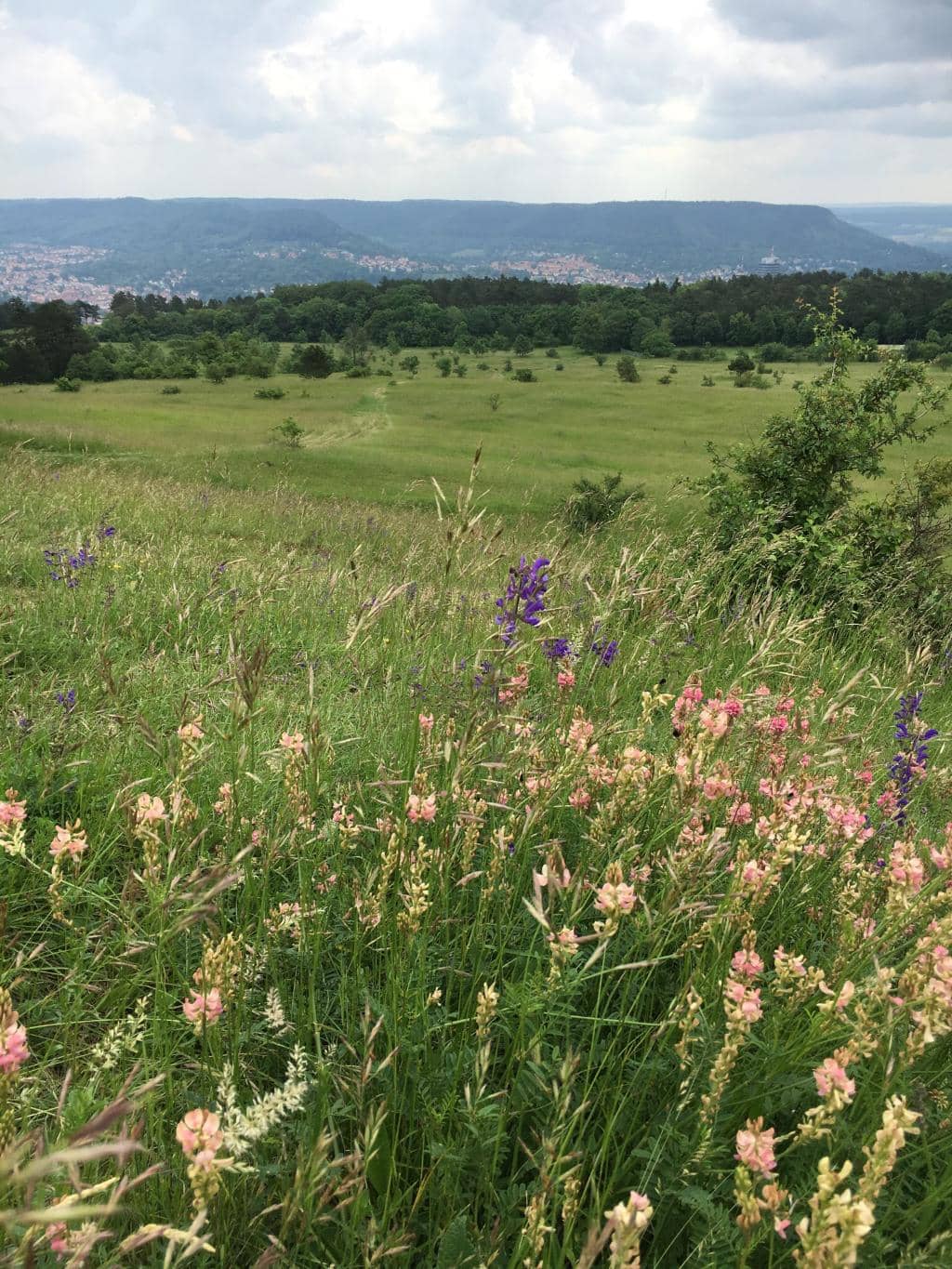Historic Reflection Point