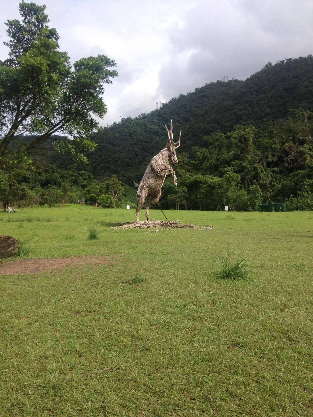 Camping & BBQ Facilities