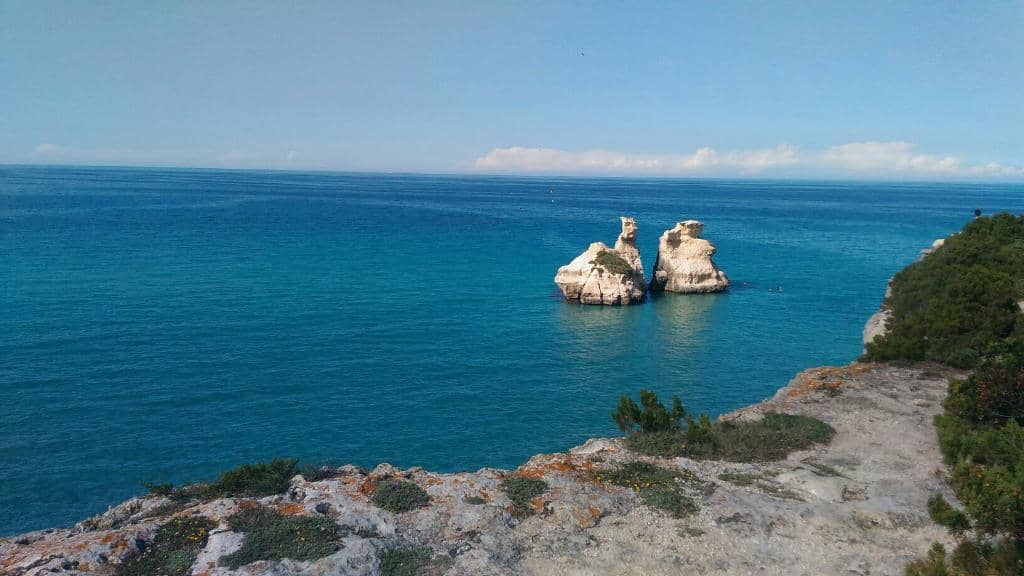 Vertical photo