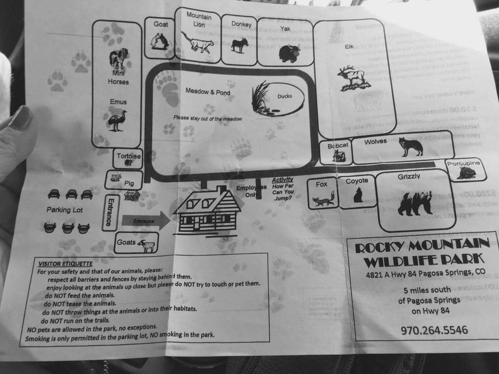 Animal Feeding Tours