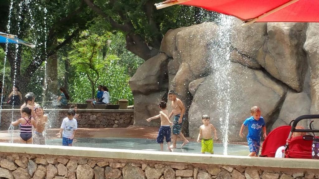 Botanical Gardens Oasis