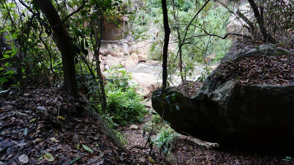 Natural Surroundings