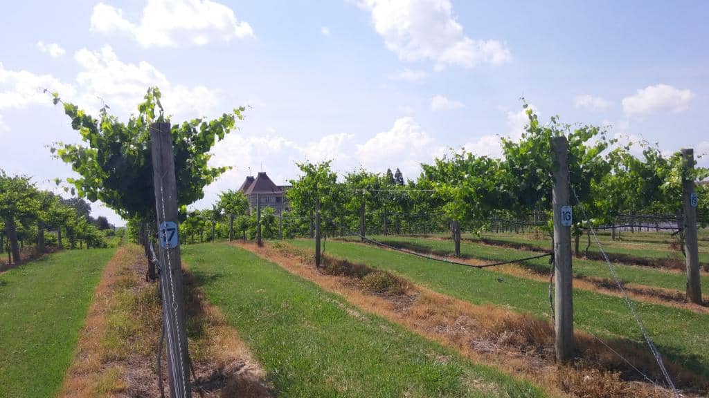 The Woodlands Golf Course