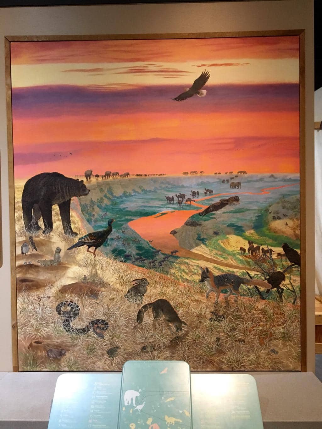 Museum & Exhibits