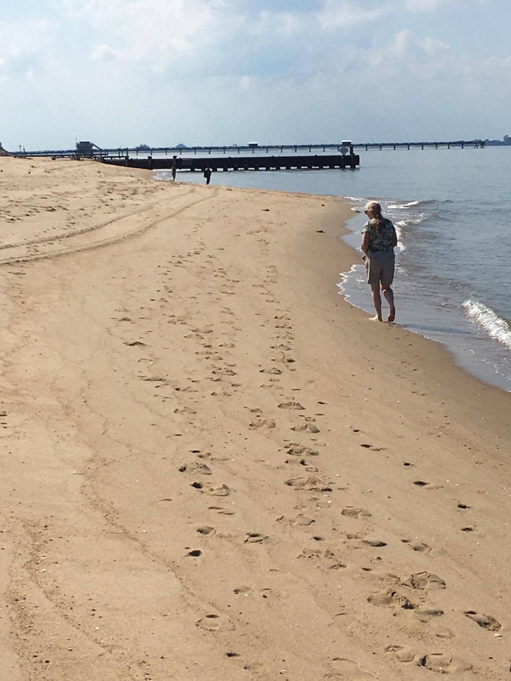 Picnic Areas with Grills