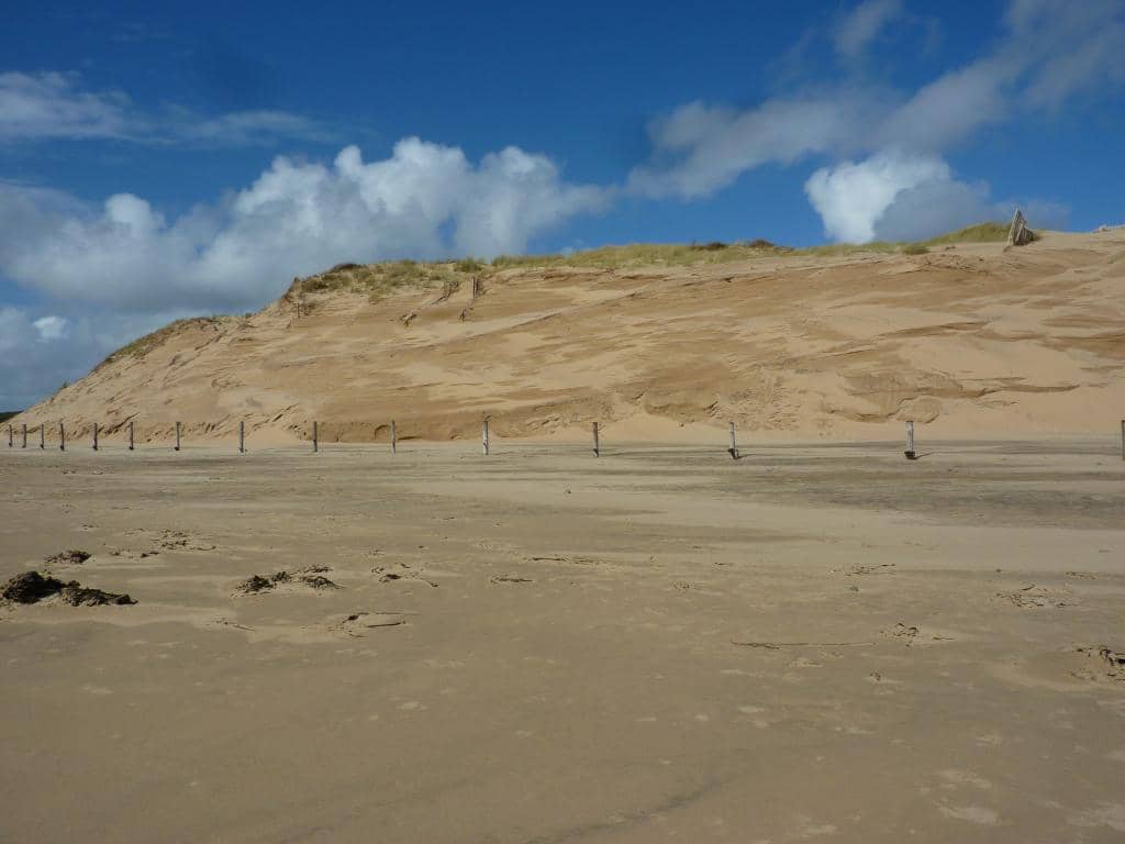 Coastal Walks
